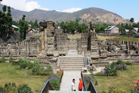 Heritage of Kashmir view 4