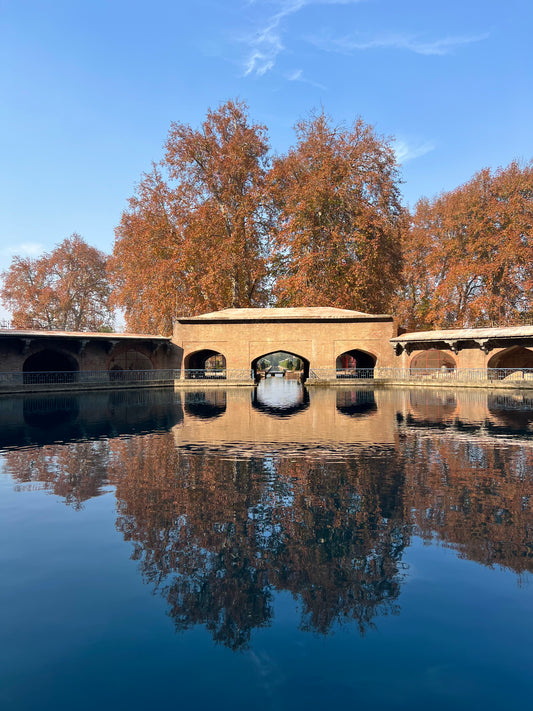 Kashmir Heritage Tour - September 