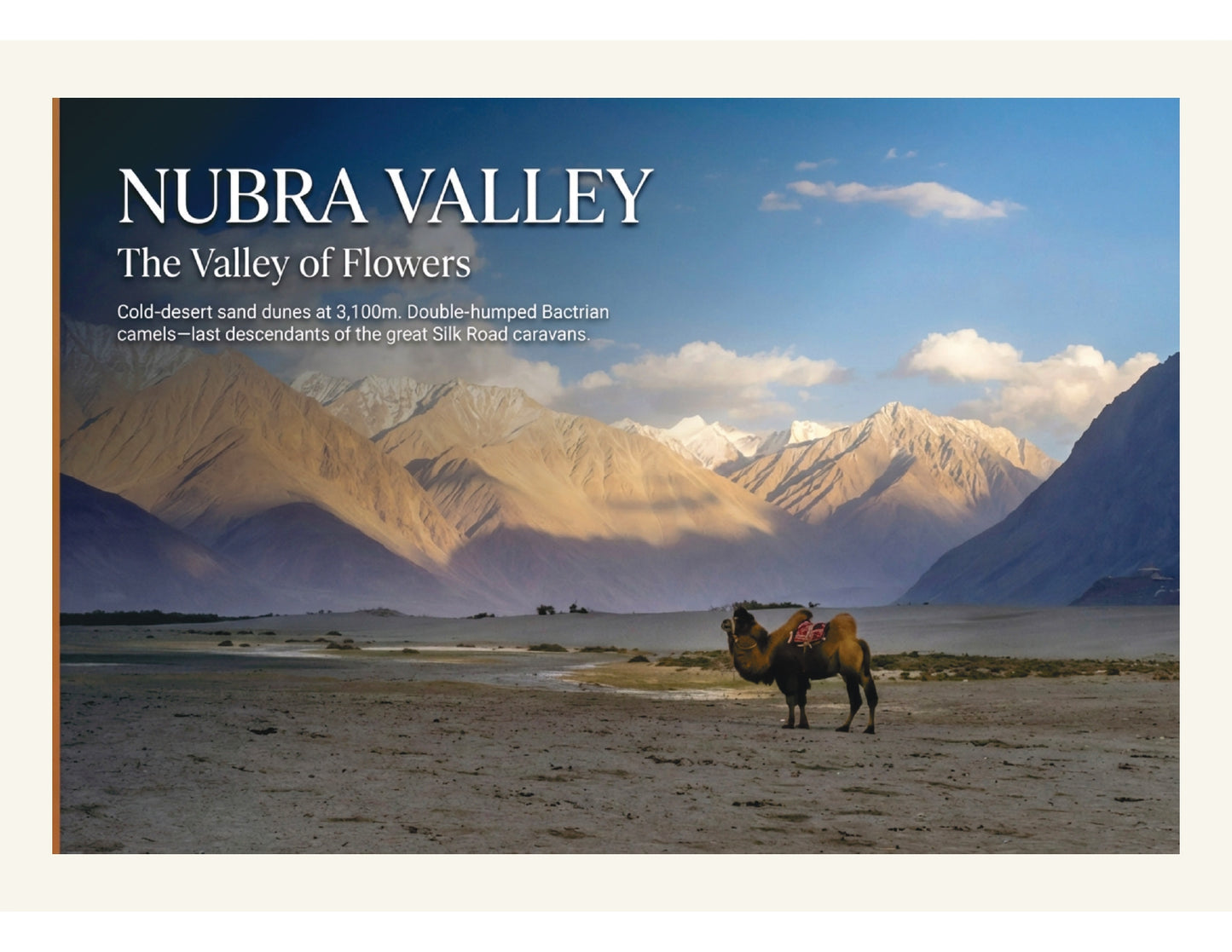 Ladakh Heritage & Scenic Tour