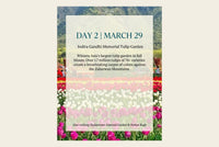 Spring in Kashmir — A Women's Only Sacred Journey view 4